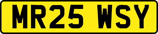 MR25WSY