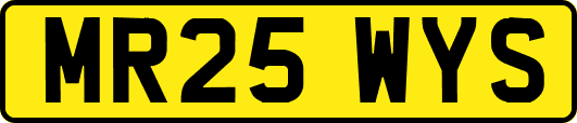 MR25WYS