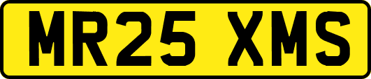 MR25XMS
