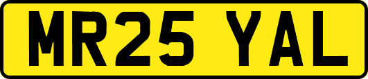 MR25YAL