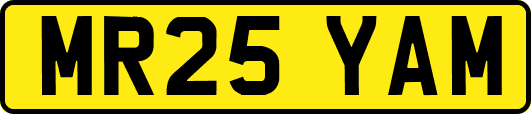 MR25YAM