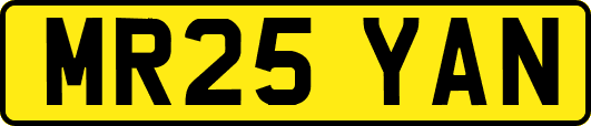 MR25YAN