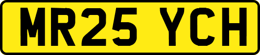 MR25YCH
