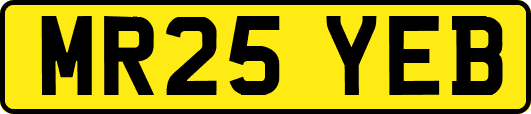 MR25YEB