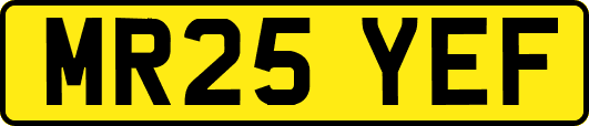 MR25YEF
