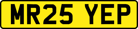 MR25YEP