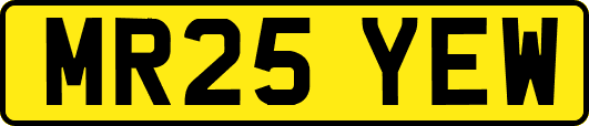 MR25YEW