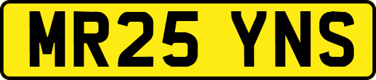 MR25YNS