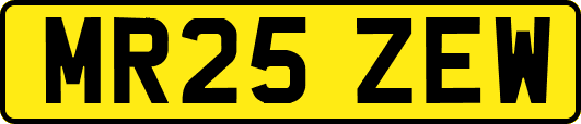 MR25ZEW