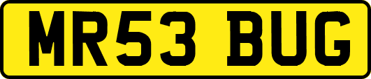 MR53BUG