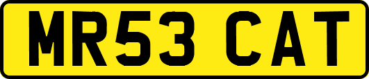 MR53CAT
