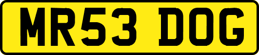 MR53DOG