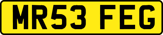 MR53FEG