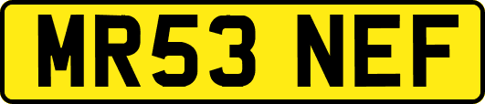 MR53NEF