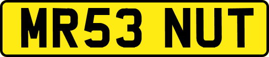 MR53NUT