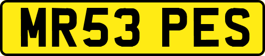 MR53PES