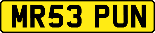 MR53PUN