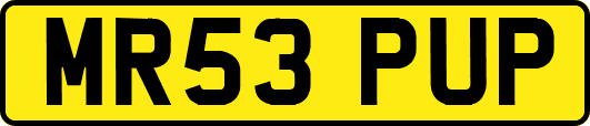 MR53PUP