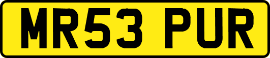 MR53PUR