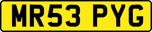 MR53PYG