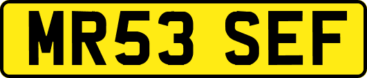 MR53SEF