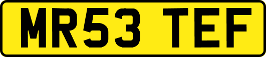 MR53TEF