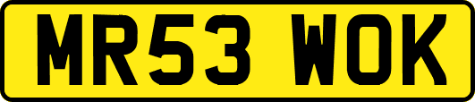 MR53WOK