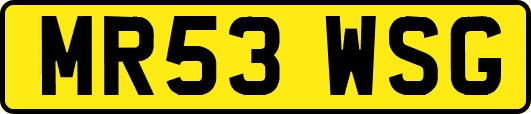 MR53WSG