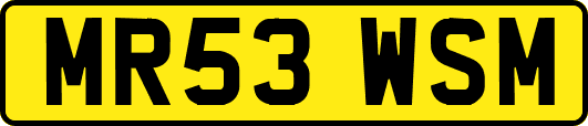 MR53WSM