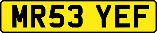 MR53YEF