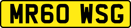 MR60WSG