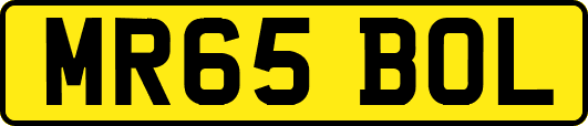 MR65BOL