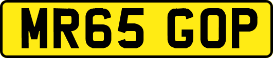 MR65GOP