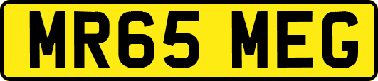MR65MEG