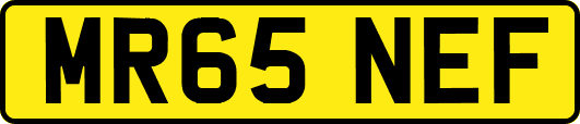 MR65NEF