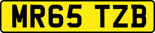 MR65TZB