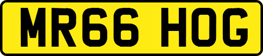 MR66HOG