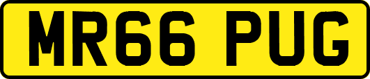 MR66PUG