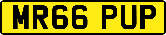 MR66PUP