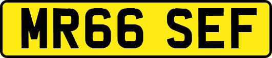 MR66SEF