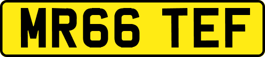 MR66TEF