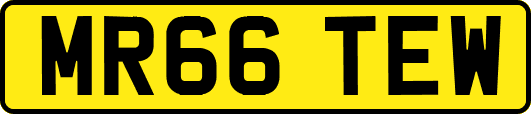 MR66TEW
