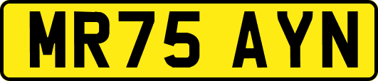 MR75AYN