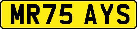MR75AYS