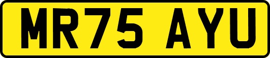 MR75AYU