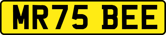 MR75BEE