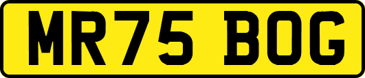 MR75BOG