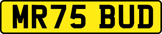MR75BUD