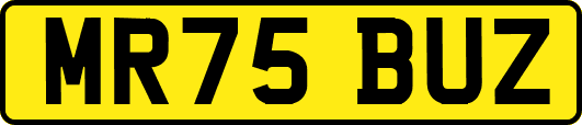 MR75BUZ
