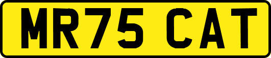MR75CAT